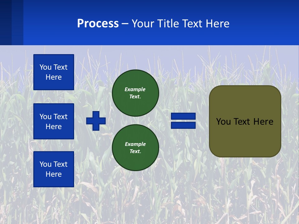 A Field Of Corn With A Blue Sky In The Background PowerPoint Template