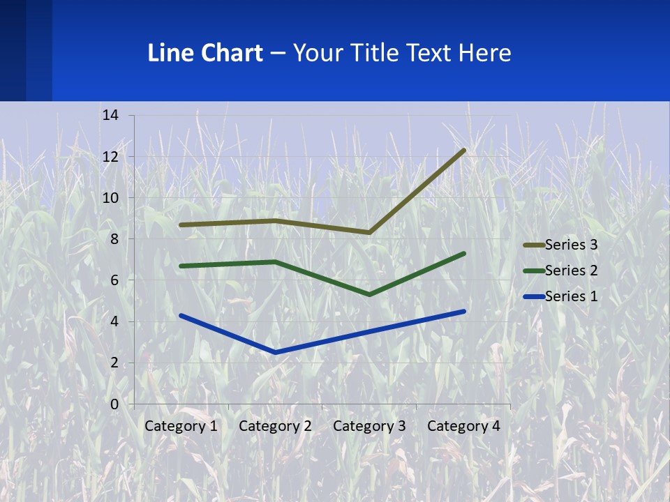 A Field Of Corn With A Blue Sky In The Background PowerPoint Template