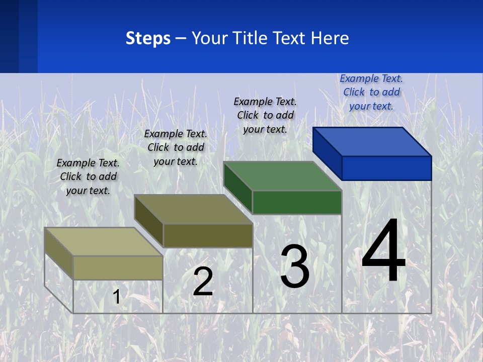 A Field Of Corn With A Blue Sky In The Background PowerPoint Template