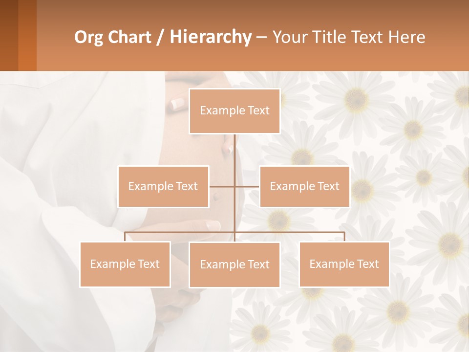 A Pregnant Woman Holding Her Belly With Daisies In The Background PowerPoint Template