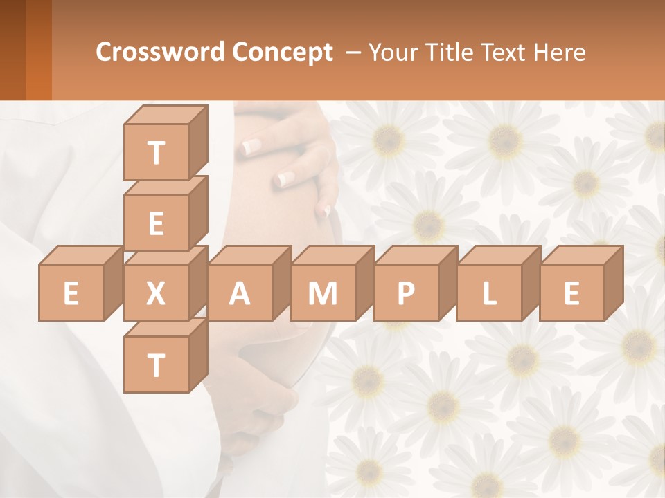 A Pregnant Woman Holding Her Belly With Daisies In The Background PowerPoint Template