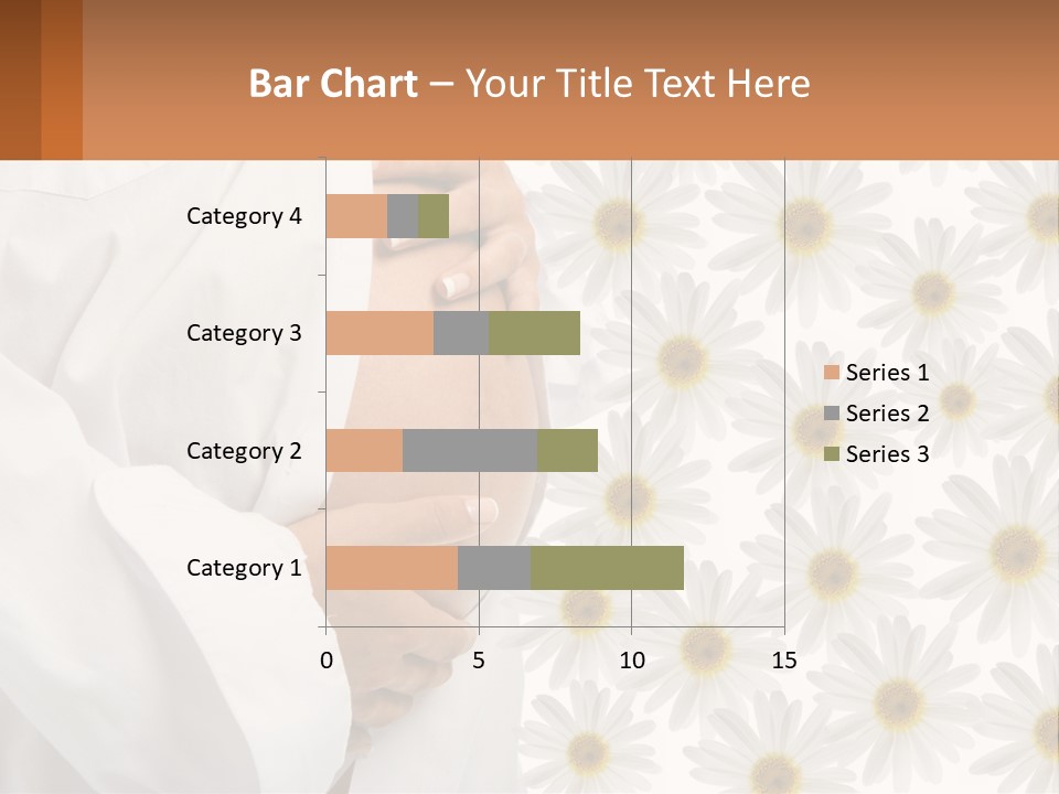 A Pregnant Woman Holding Her Belly With Daisies In The Background PowerPoint Template