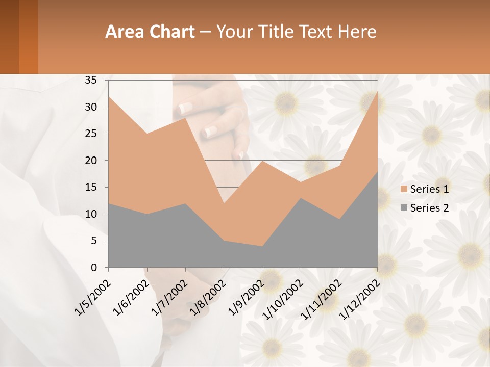 A Pregnant Woman Holding Her Belly With Daisies In The Background PowerPoint Template