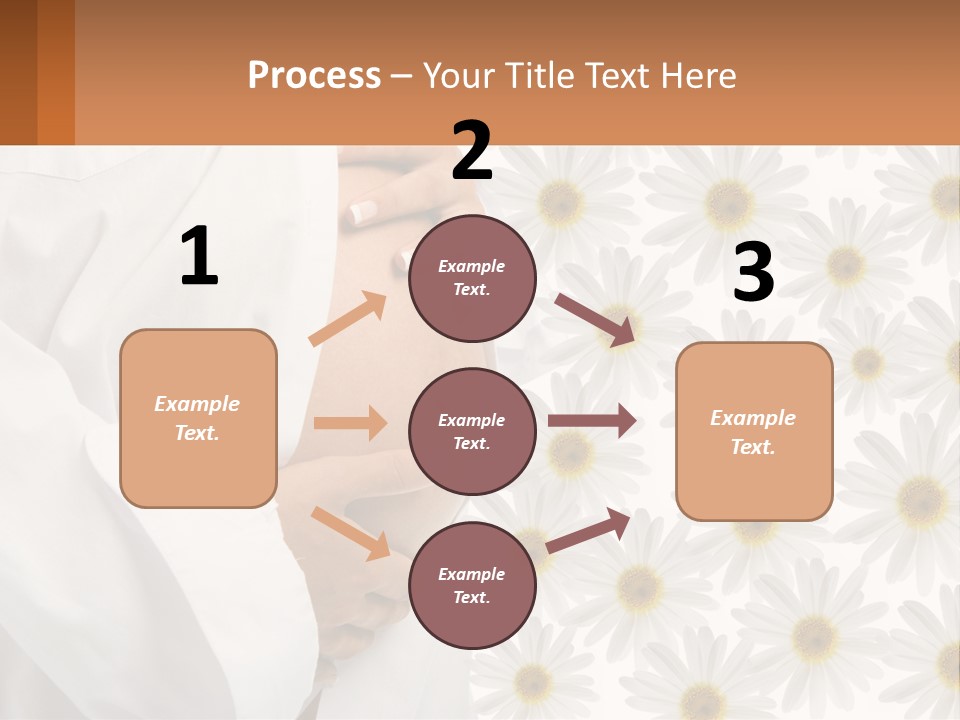 A Pregnant Woman Holding Her Belly With Daisies In The Background PowerPoint Template