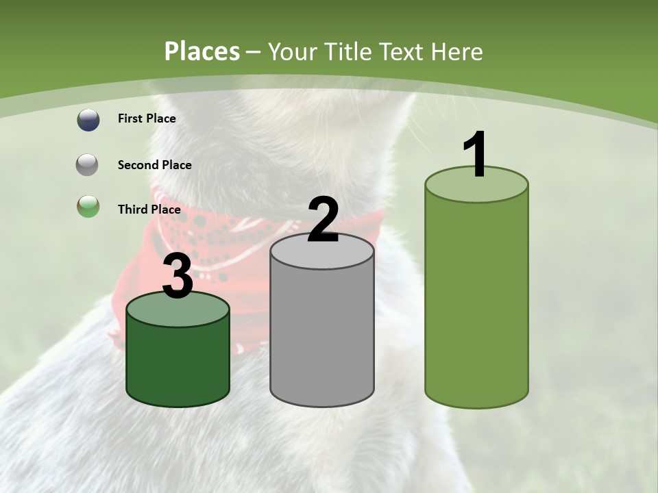 A Small Dog Wearing A Red Bandana Is Sitting In The Grass PowerPoint Template