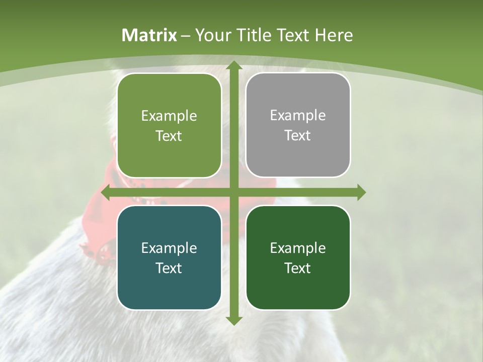 A Small Dog Wearing A Red Bandana Is Sitting In The Grass PowerPoint Template