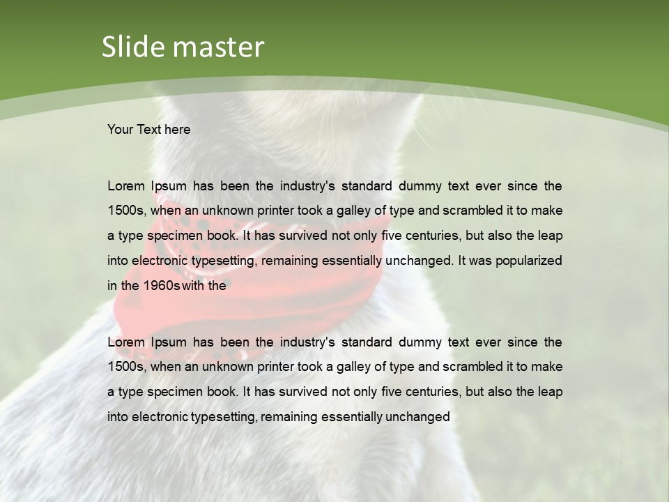 A Small Dog Wearing A Red Bandana Is Sitting In The Grass PowerPoint Template
