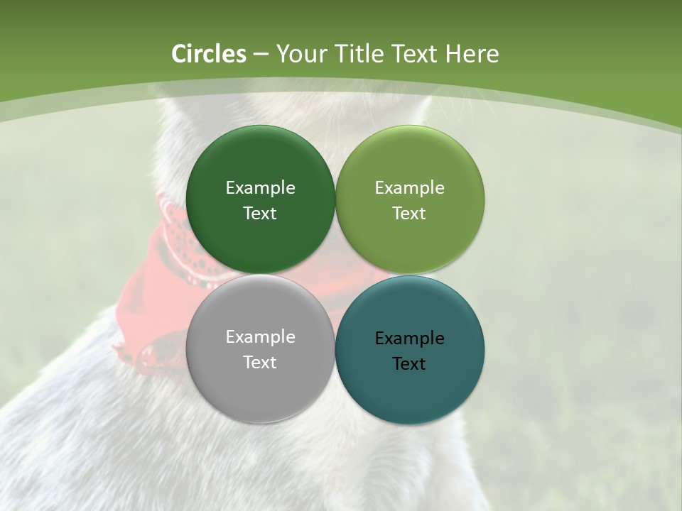 A Small Dog Wearing A Red Bandana Is Sitting In The Grass PowerPoint Template