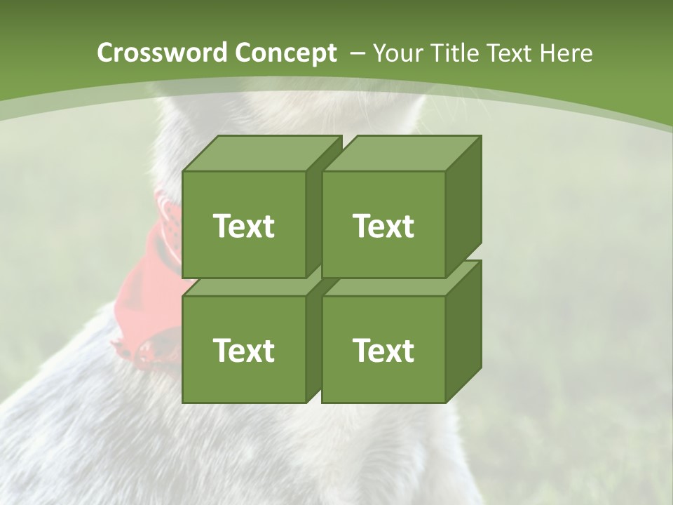 A Small Dog Wearing A Red Bandana Is Sitting In The Grass PowerPoint Template