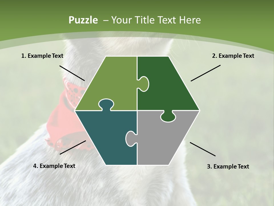 A Small Dog Wearing A Red Bandana Is Sitting In The Grass PowerPoint Template