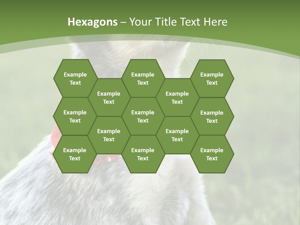 A Small Dog Wearing A Red Bandana Is Sitting In The Grass PowerPoint Template