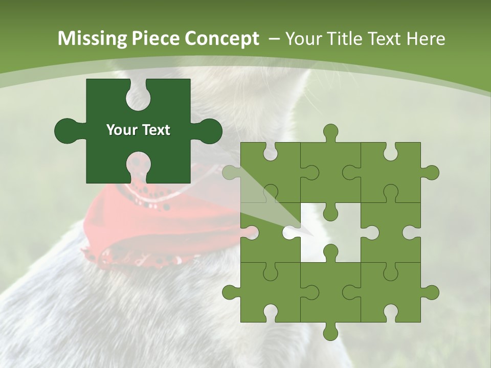 A Small Dog Wearing A Red Bandana Is Sitting In The Grass PowerPoint Template
