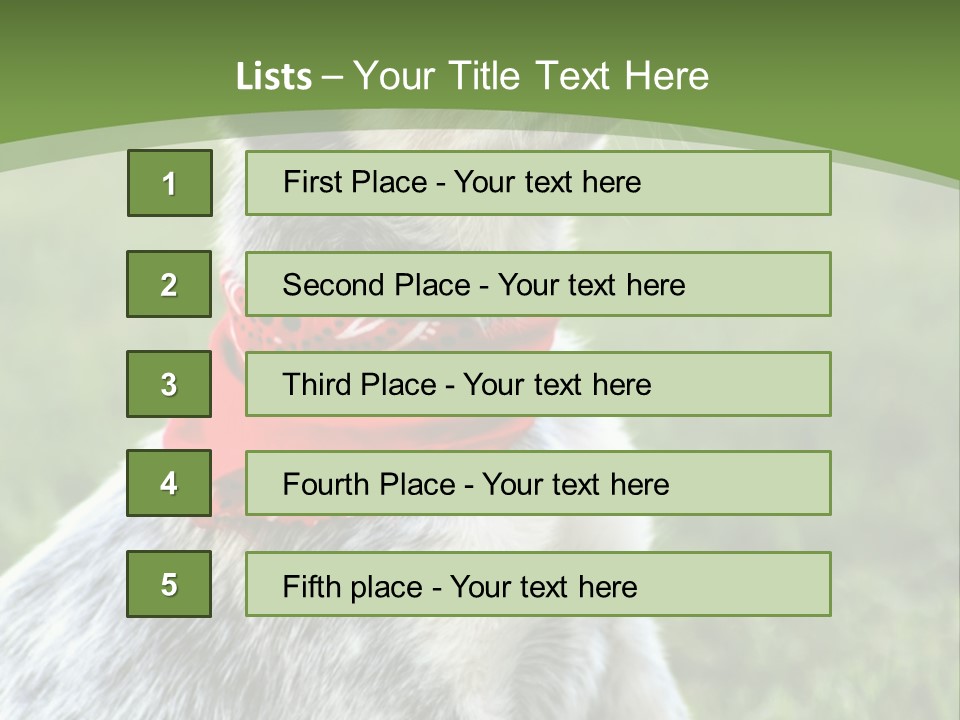 A Small Dog Wearing A Red Bandana Is Sitting In The Grass PowerPoint Template
