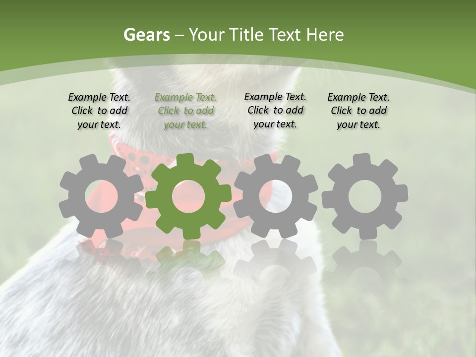 A Small Dog Wearing A Red Bandana Is Sitting In The Grass PowerPoint Template