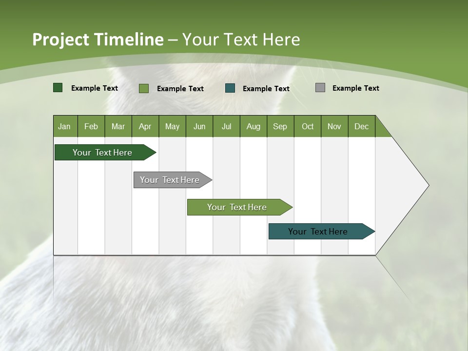 A Small Dog Wearing A Red Bandana Is Sitting In The Grass PowerPoint Template