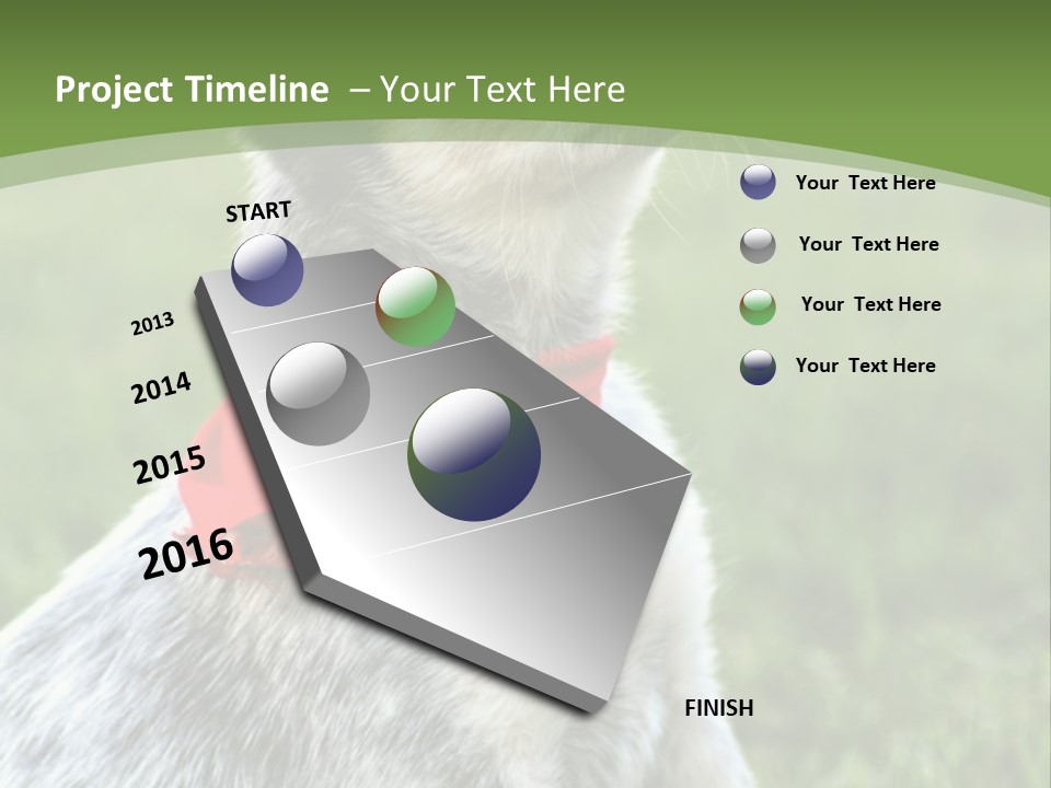 A Small Dog Wearing A Red Bandana Is Sitting In The Grass PowerPoint Template