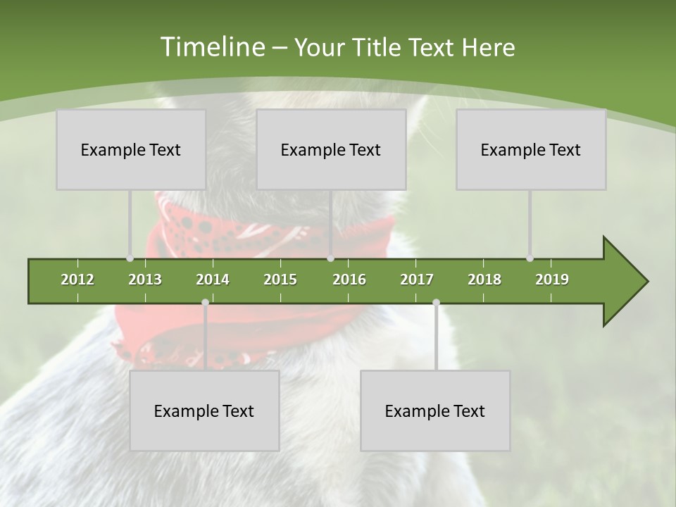 A Small Dog Wearing A Red Bandana Is Sitting In The Grass PowerPoint Template