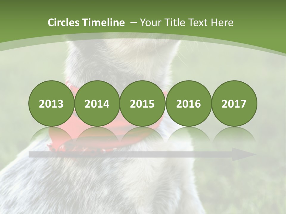 A Small Dog Wearing A Red Bandana Is Sitting In The Grass PowerPoint Template