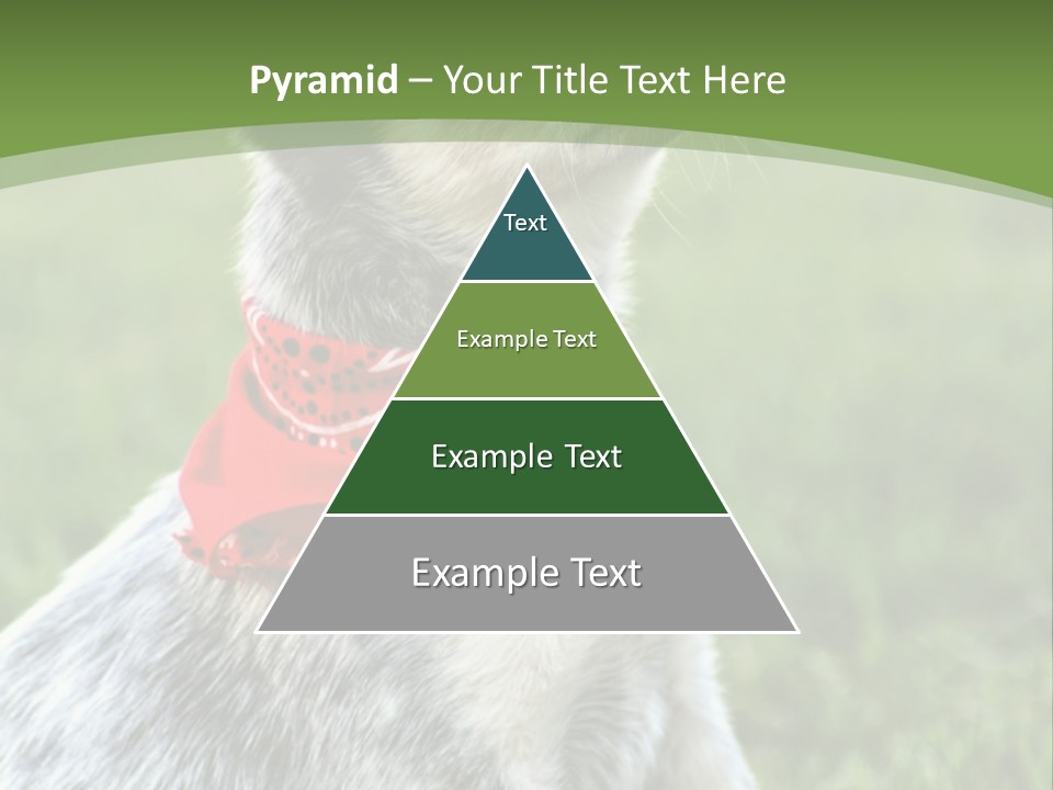 A Small Dog Wearing A Red Bandana Is Sitting In The Grass PowerPoint Template