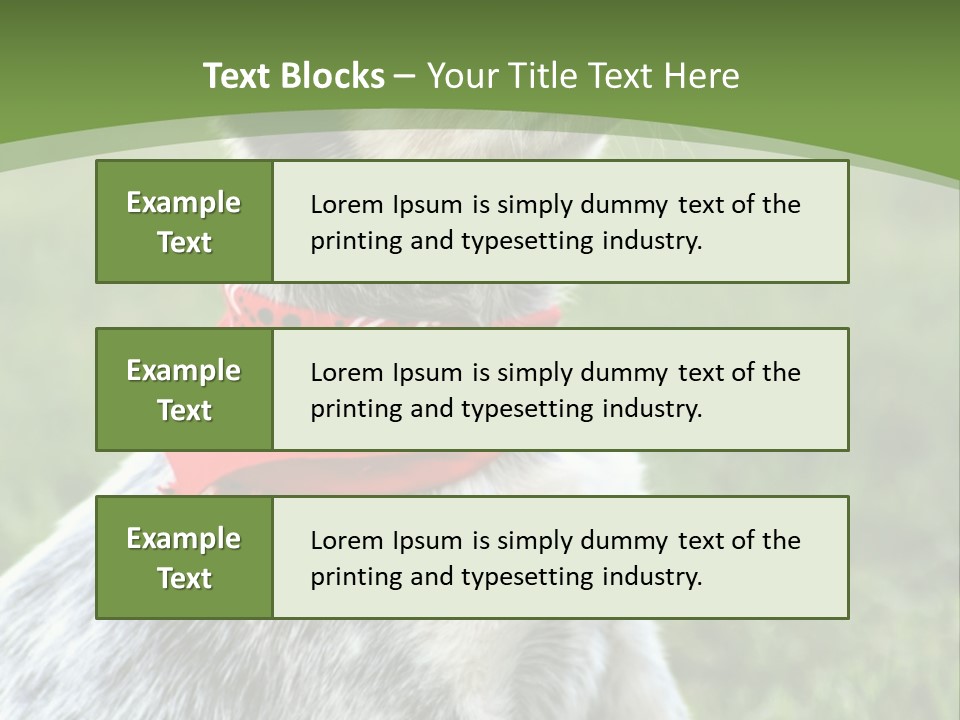 A Small Dog Wearing A Red Bandana Is Sitting In The Grass PowerPoint Template