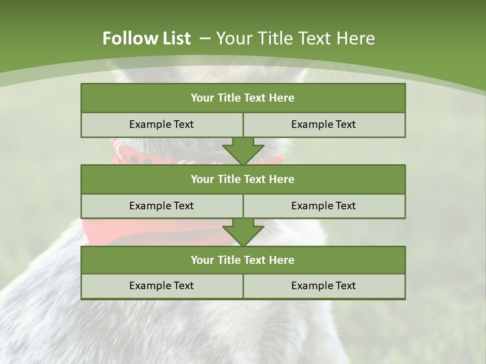 A Small Dog Wearing A Red Bandana Is Sitting In The Grass PowerPoint Template