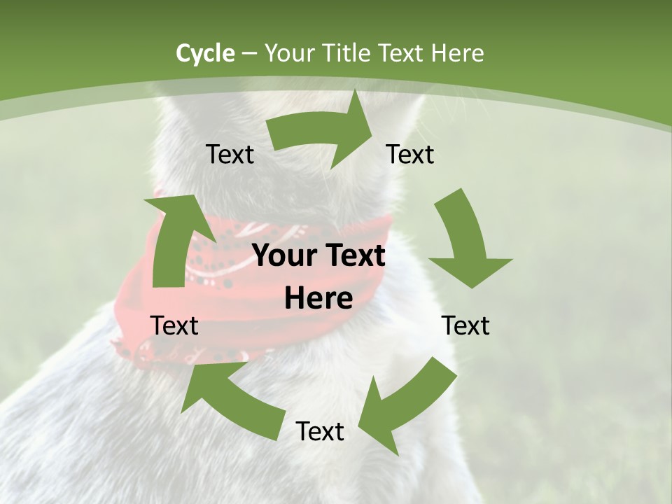 A Small Dog Wearing A Red Bandana Is Sitting In The Grass PowerPoint Template