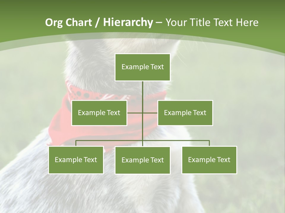 A Small Dog Wearing A Red Bandana Is Sitting In The Grass PowerPoint Template