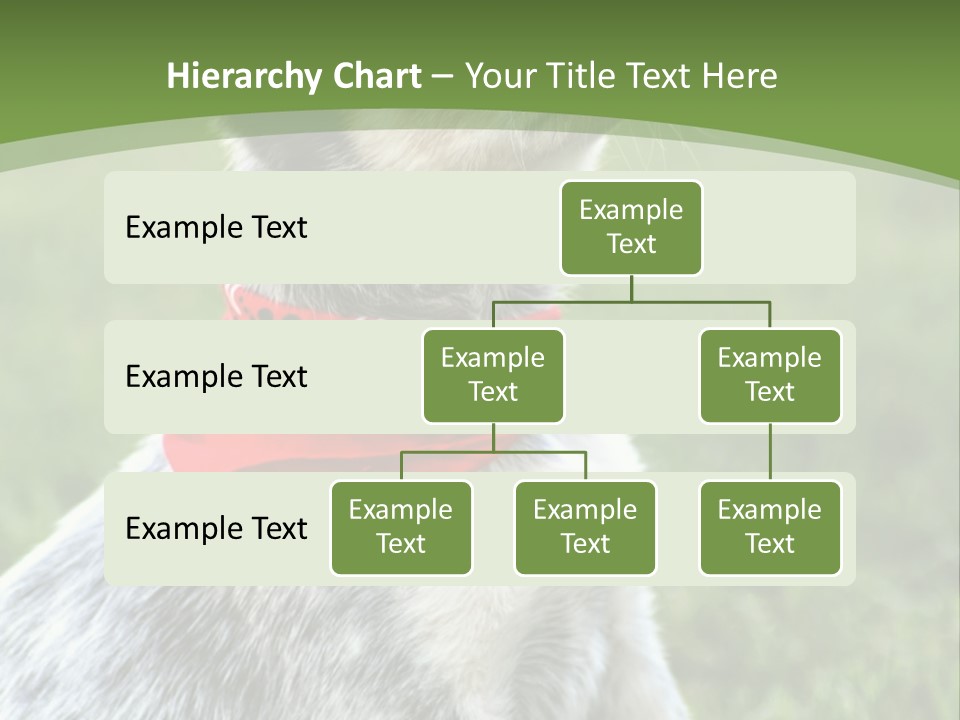 A Small Dog Wearing A Red Bandana Is Sitting In The Grass PowerPoint Template