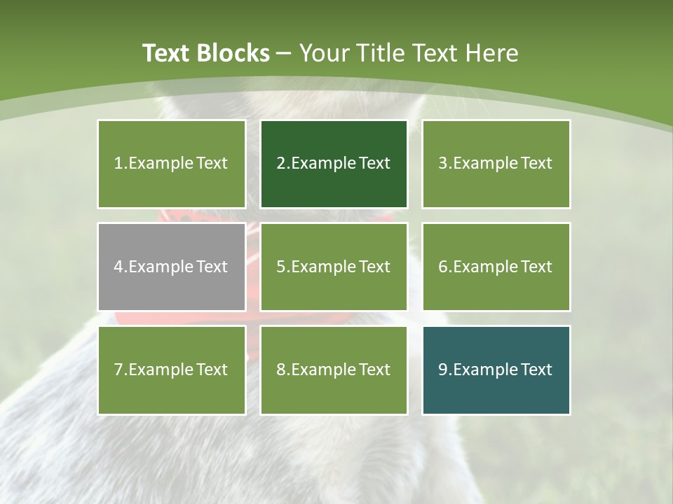 A Small Dog Wearing A Red Bandana Is Sitting In The Grass PowerPoint Template