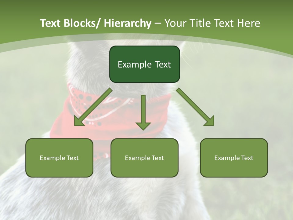 A Small Dog Wearing A Red Bandana Is Sitting In The Grass PowerPoint Template