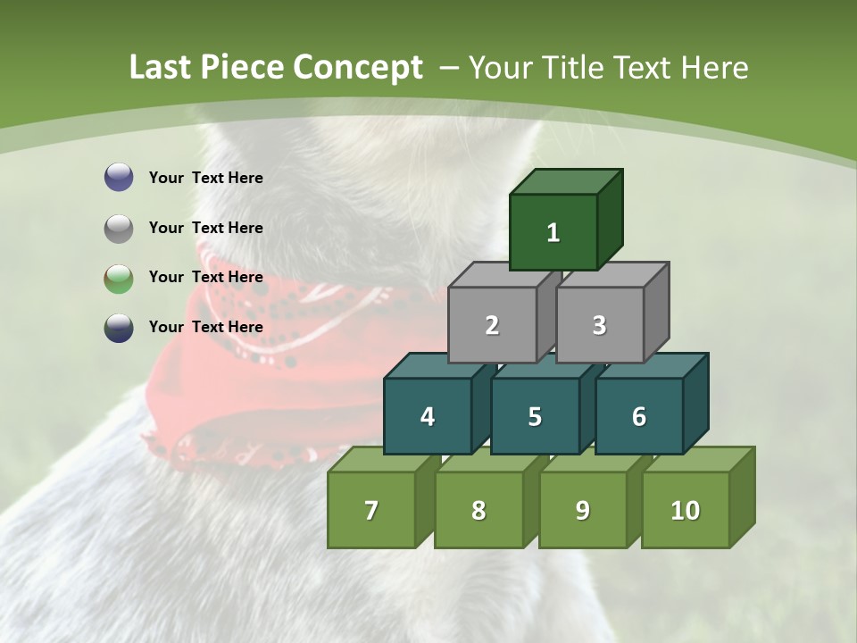 A Small Dog Wearing A Red Bandana Is Sitting In The Grass PowerPoint Template