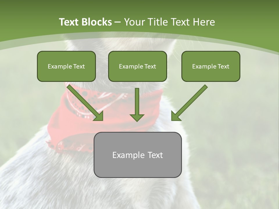 A Small Dog Wearing A Red Bandana Is Sitting In The Grass PowerPoint Template