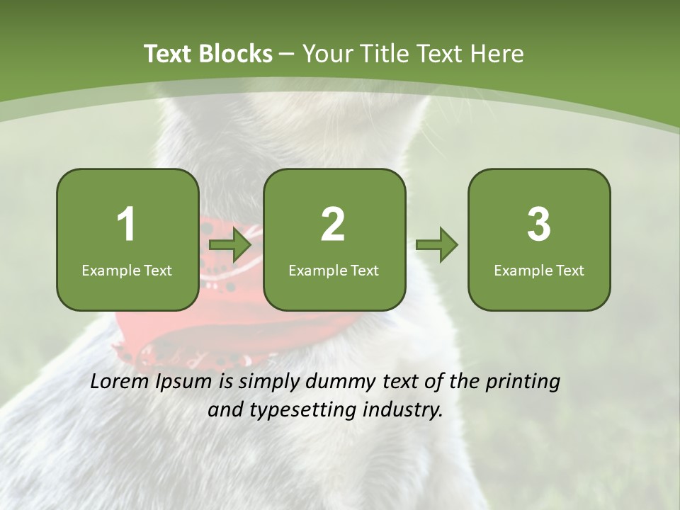 A Small Dog Wearing A Red Bandana Is Sitting In The Grass PowerPoint Template