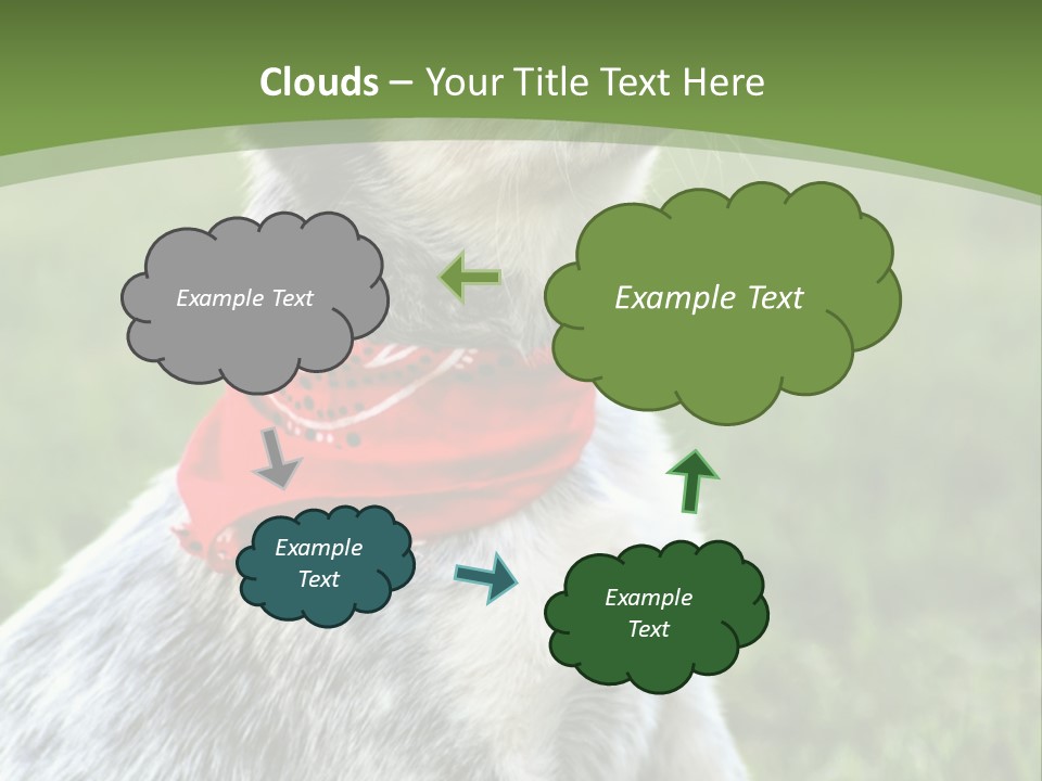 A Small Dog Wearing A Red Bandana Is Sitting In The Grass PowerPoint Template