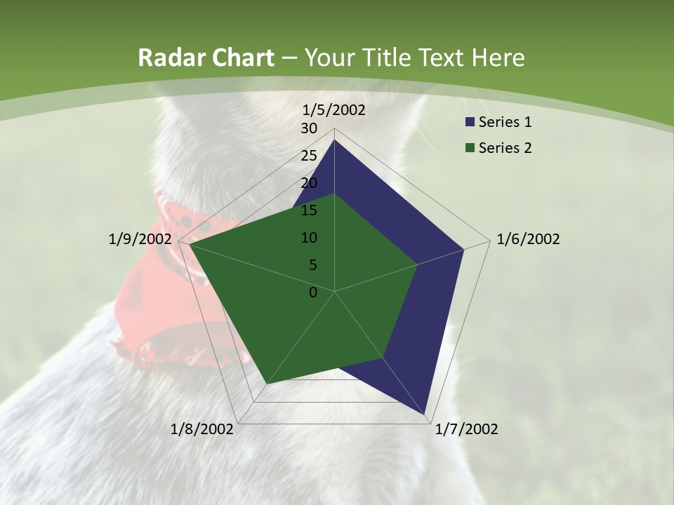 A Small Dog Wearing A Red Bandana Is Sitting In The Grass PowerPoint Template