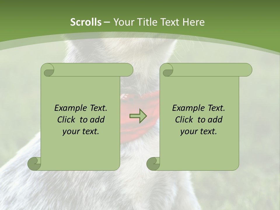 A Small Dog Wearing A Red Bandana Is Sitting In The Grass PowerPoint Template