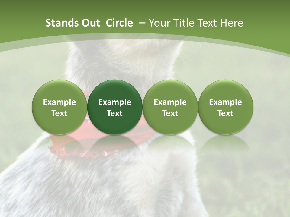 A Small Dog Wearing A Red Bandana Is Sitting In The Grass PowerPoint Template