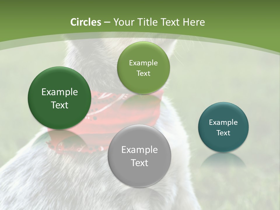 A Small Dog Wearing A Red Bandana Is Sitting In The Grass PowerPoint Template