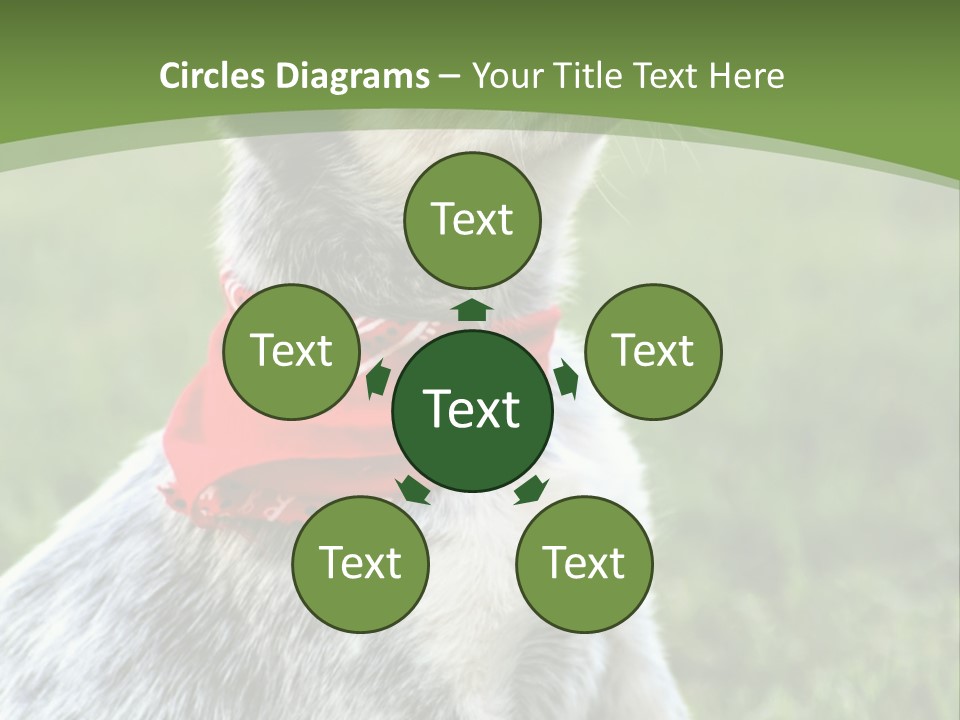 A Small Dog Wearing A Red Bandana Is Sitting In The Grass PowerPoint Template