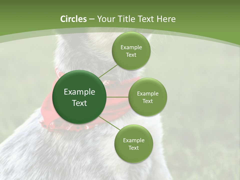 A Small Dog Wearing A Red Bandana Is Sitting In The Grass PowerPoint Template
