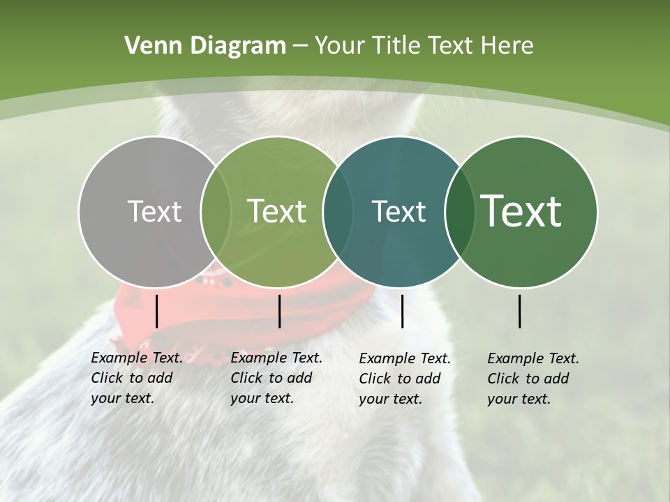 A Small Dog Wearing A Red Bandana Is Sitting In The Grass PowerPoint Template