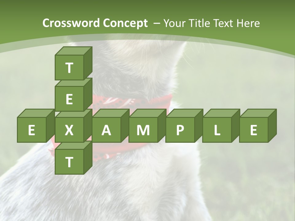 A Small Dog Wearing A Red Bandana Is Sitting In The Grass PowerPoint Template