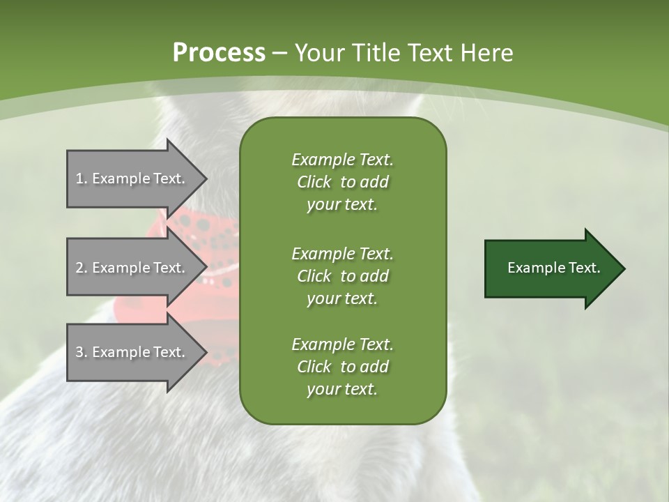 A Small Dog Wearing A Red Bandana Is Sitting In The Grass PowerPoint Template