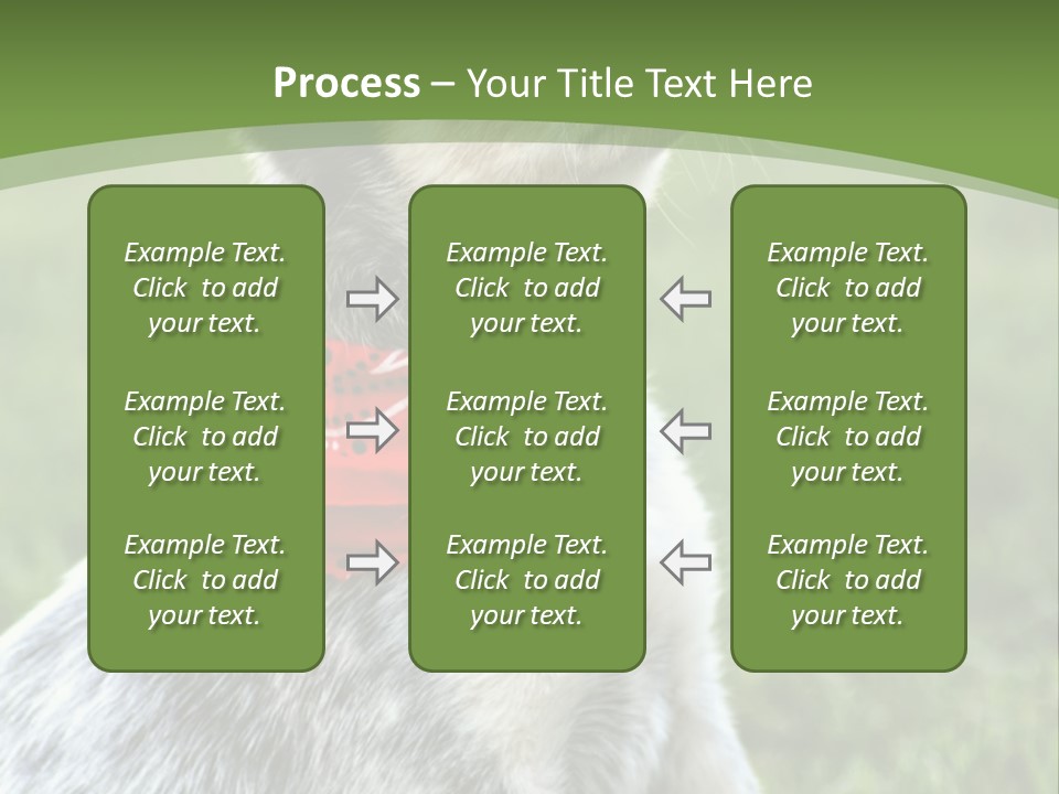 A Small Dog Wearing A Red Bandana Is Sitting In The Grass PowerPoint Template