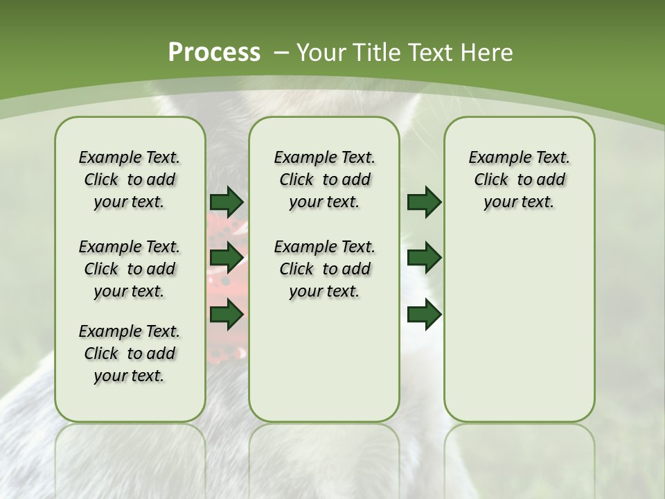 A Small Dog Wearing A Red Bandana Is Sitting In The Grass PowerPoint Template