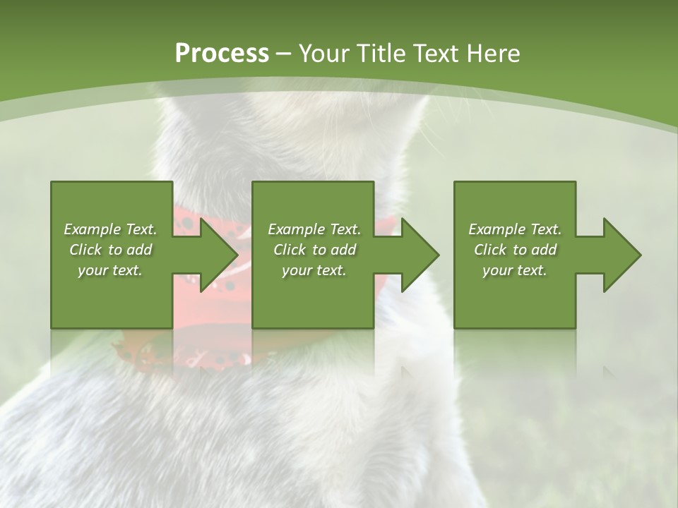 A Small Dog Wearing A Red Bandana Is Sitting In The Grass PowerPoint Template