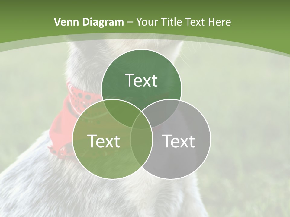 A Small Dog Wearing A Red Bandana Is Sitting In The Grass PowerPoint Template