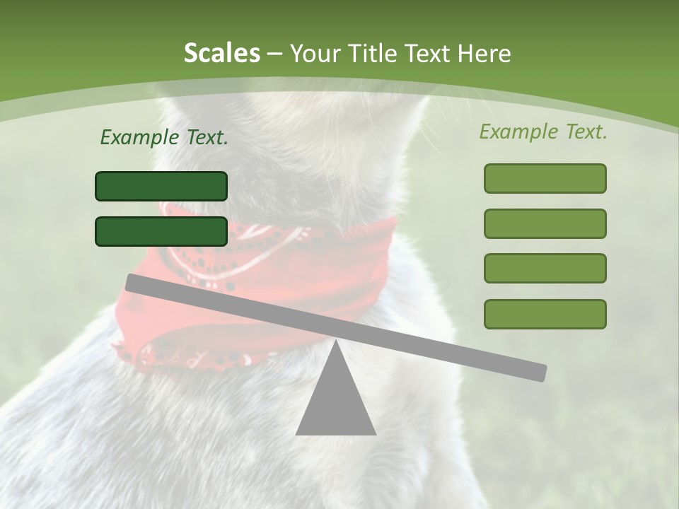 A Small Dog Wearing A Red Bandana Is Sitting In The Grass PowerPoint Template