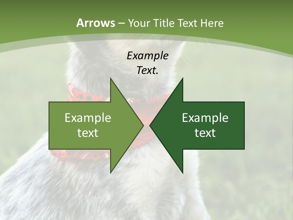 A Small Dog Wearing A Red Bandana Is Sitting In The Grass PowerPoint Template