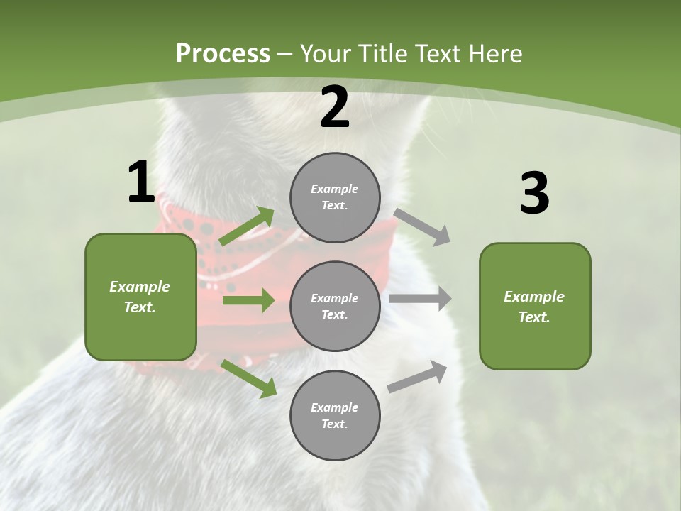 A Small Dog Wearing A Red Bandana Is Sitting In The Grass PowerPoint Template